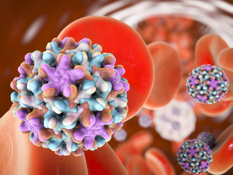 Hepatitis B in der Schwangerschaft