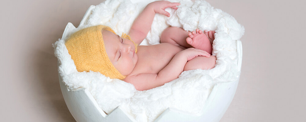 Yumurta Donasyonu Fiyatları