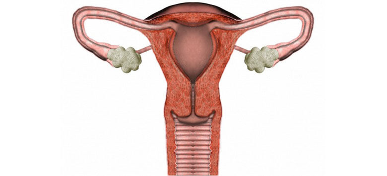 Gebärmuttertransplantation