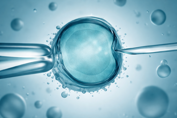IVF Preise 2026