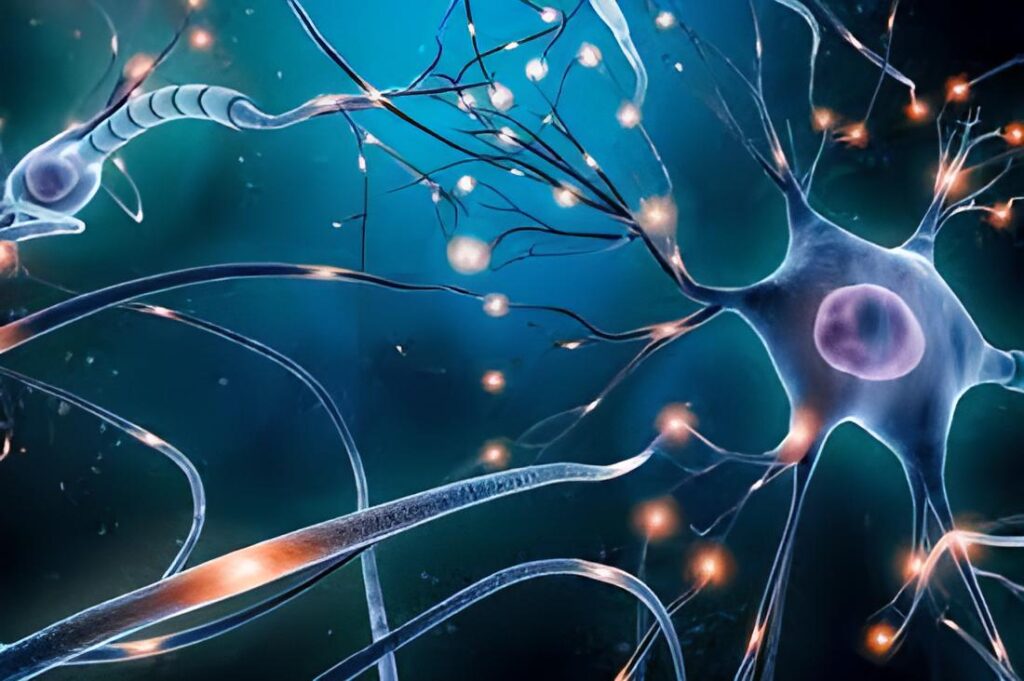 IVF treatment with stem cells