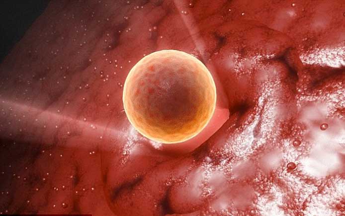 What is the Treatment of Anovulation