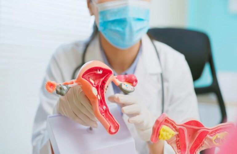 The Importance of Uterine Health in IVF Treatment
