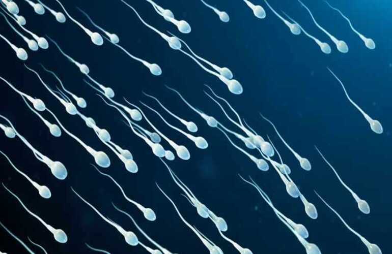 What is the Sperm Separation Process for Gender Selection