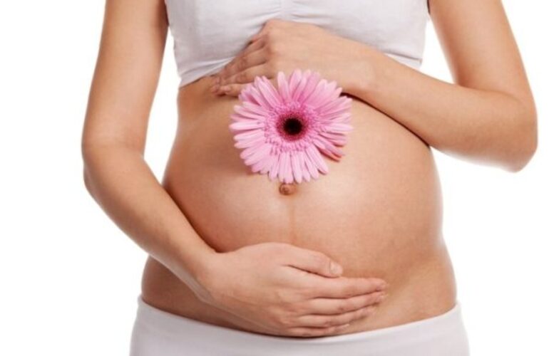 What is the Success Rate of Donor Egg