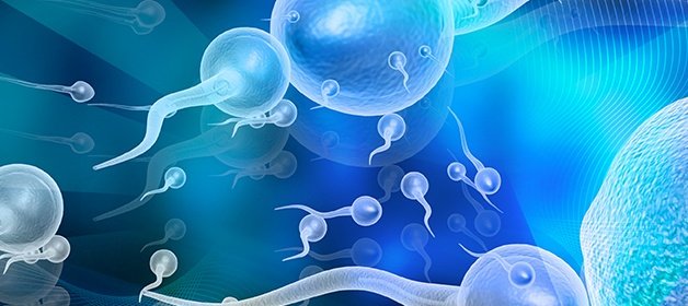 sperm donation