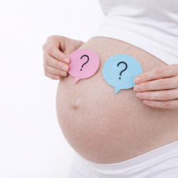 Gender Selection Prices 2026