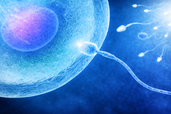 Sperm Donation Prices 2026