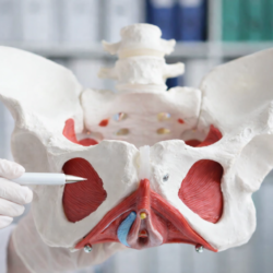 Cystocele, Rectocele and Enterocele Repair