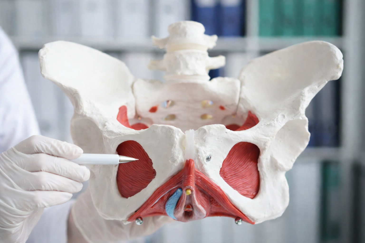 Cystocele, Rectocele and Enterocele Repair